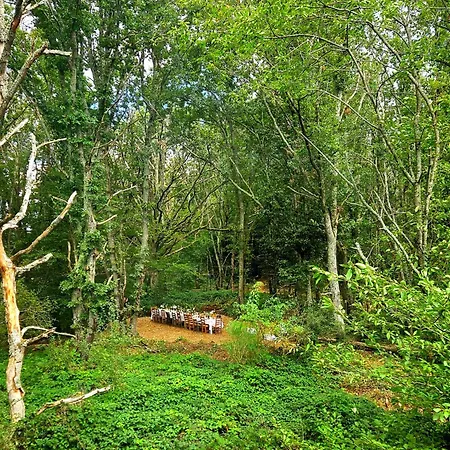 Роскошный шатер Glamping Domaine Bonneblond *